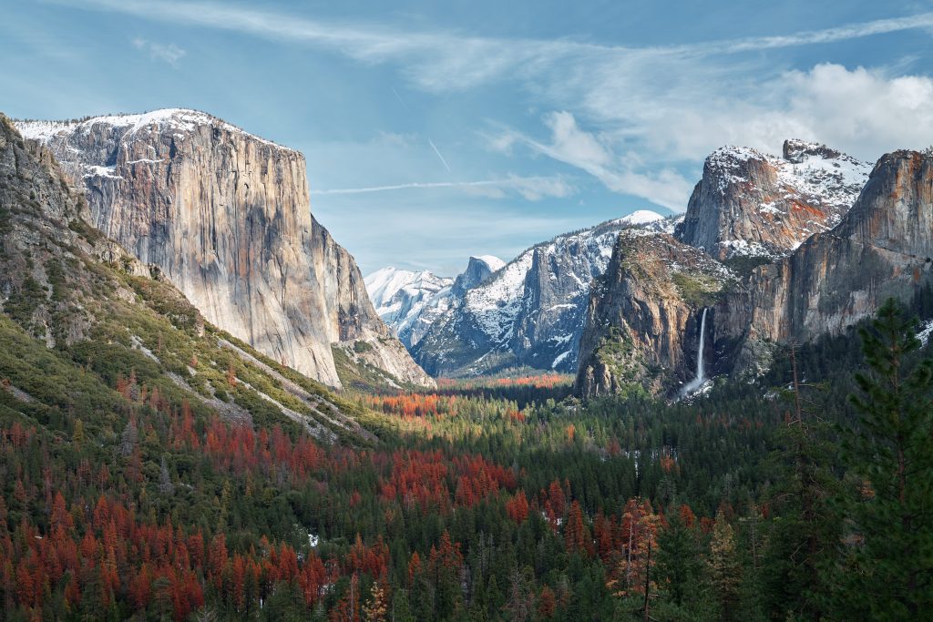Yosemite Day Trip: Natures Majesty Awaits